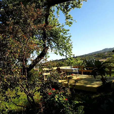 Kanarisches Mit Und Bergblick